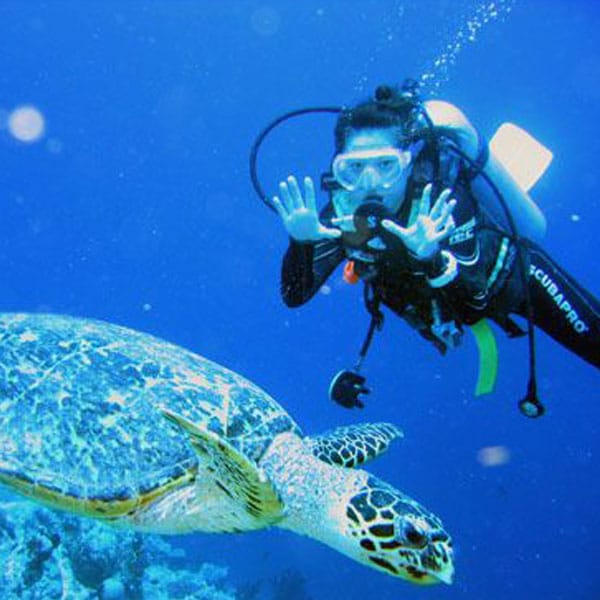 Diving And Snorkeling In Sri Lanka2