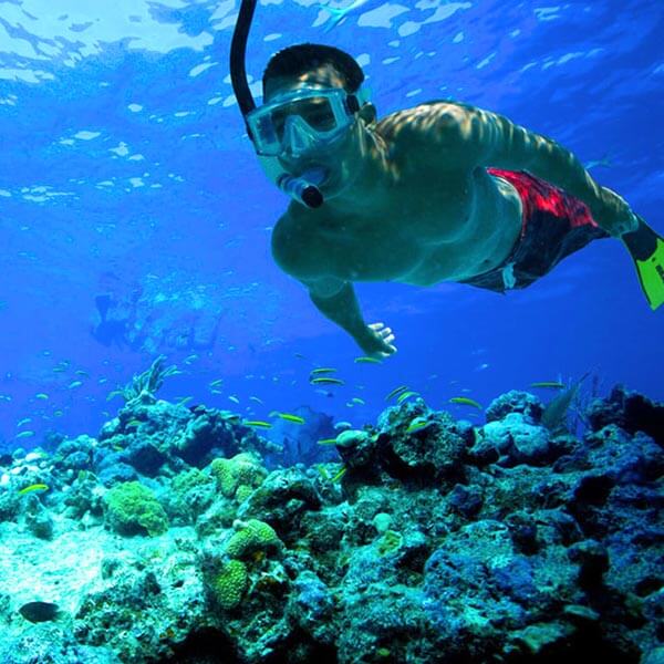 Diving and Snorkeling
