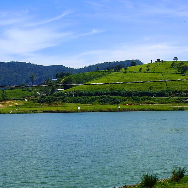 nuwara eliya gregory park