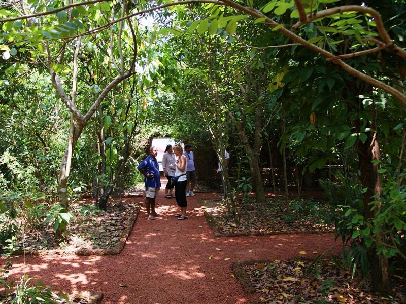 Culture and Nature Tour Spice and Herbal Garden