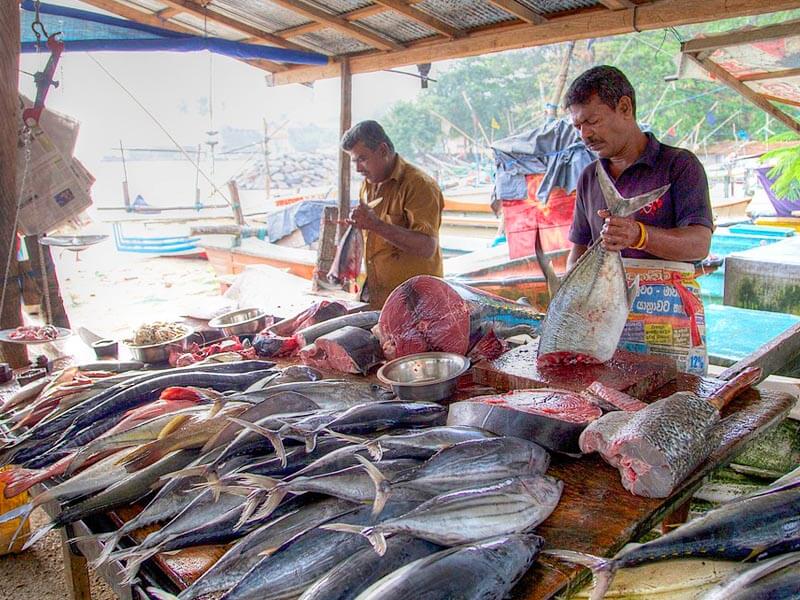 Galle Tour Galle fish Market