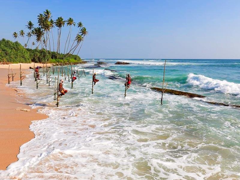 Galle Tour Stilt Fishermen