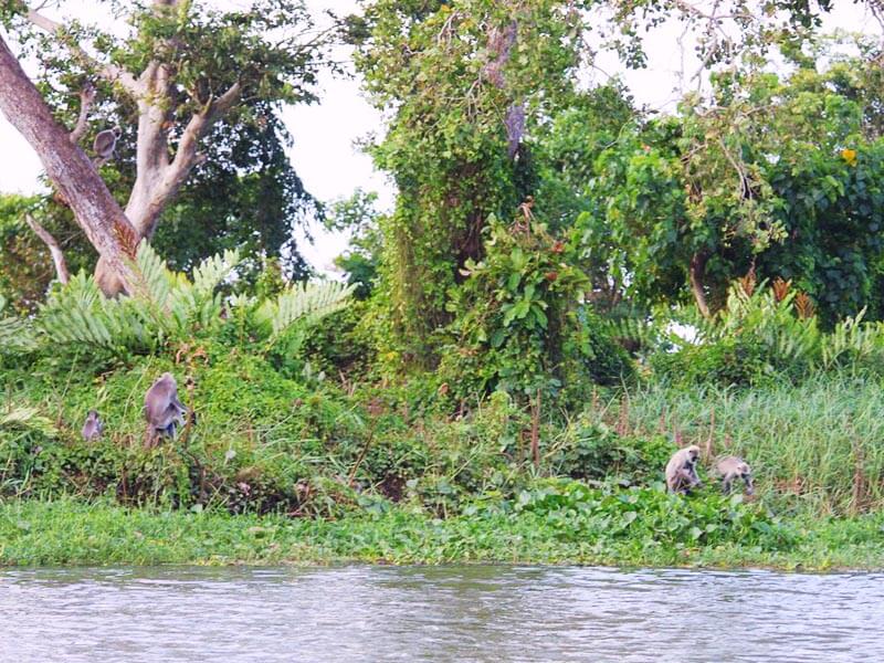 Hambantota City Tour Gallery 3