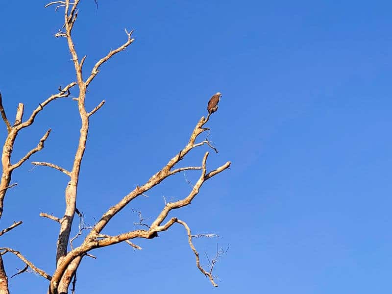 Hambantota City Tour Gallery 4