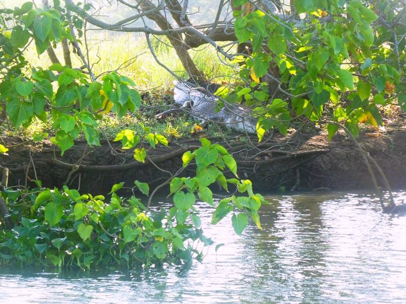 Hambantota City Tour Gallery 6