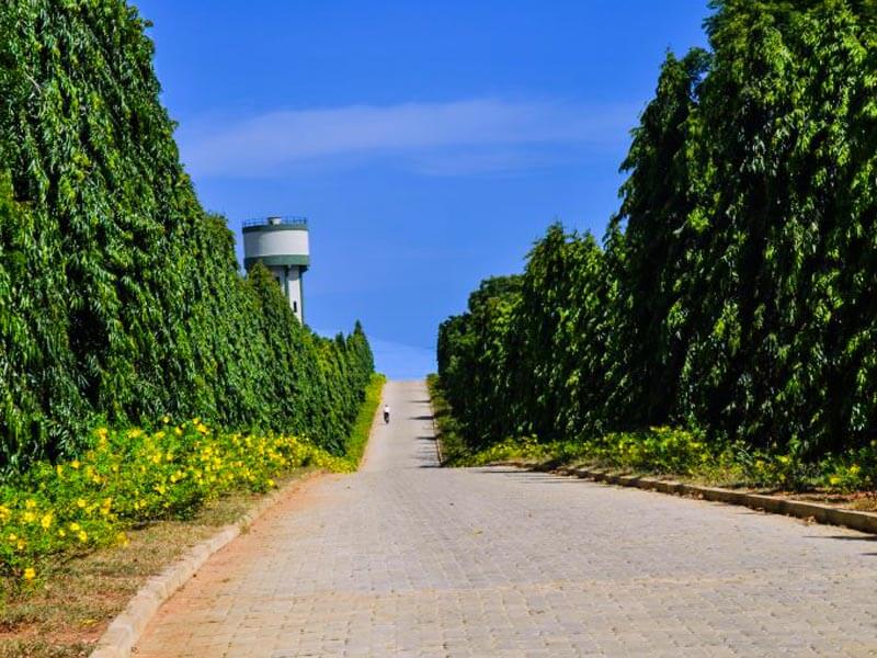 Hambantota City Tour Gallery 7