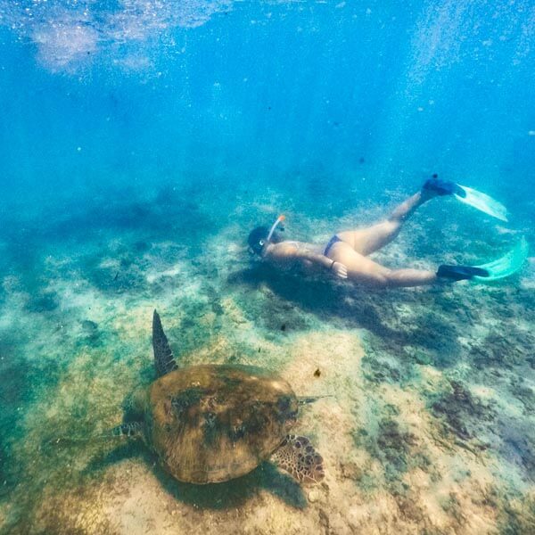 Snorkeling in Mirissa
