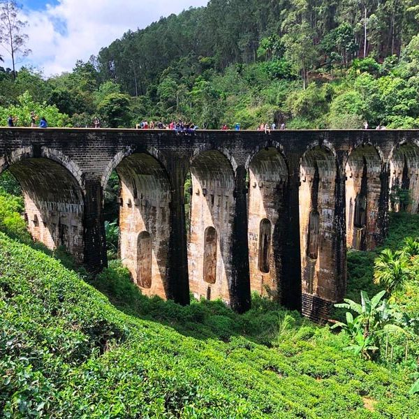 Ella Tour Nine Arch Bridge