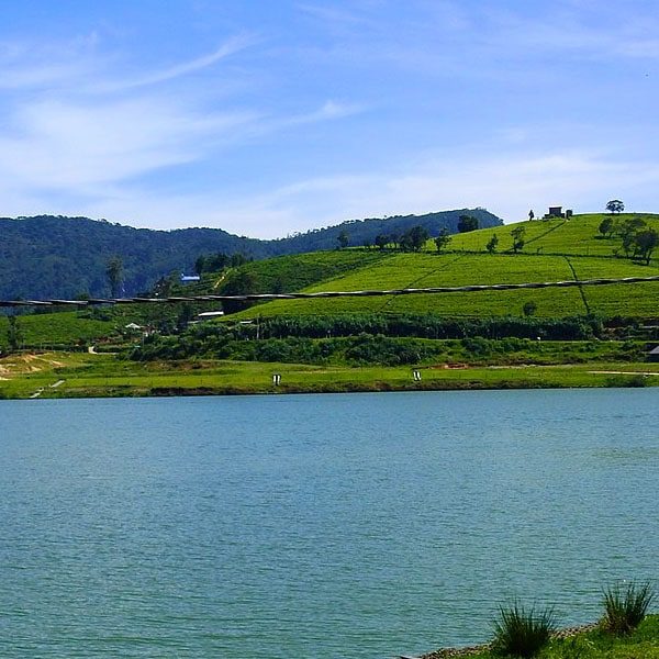 nuwara eliya gregory park
